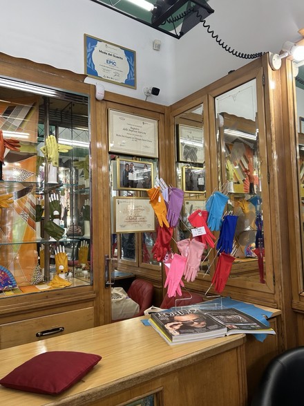 Moda del Guanto 5.jpg