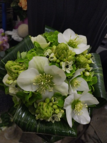 WhatsApp Image 2026-02-05 at 08.21.05 (4).jpeg