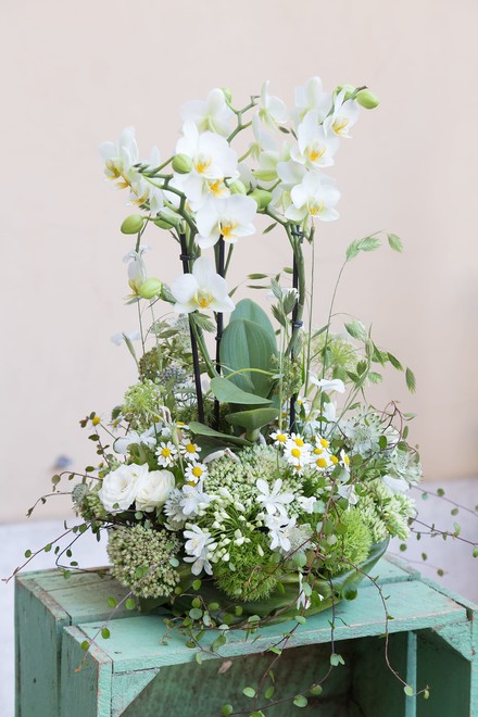 WhatsApp Image 2026-02-09 at 08.40.17 (4).jpeg