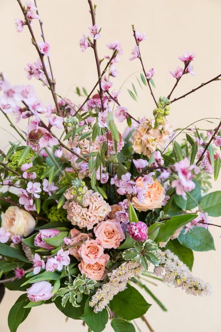 WhatsApp Image 2026-02-09 at 08.40.18.jpeg